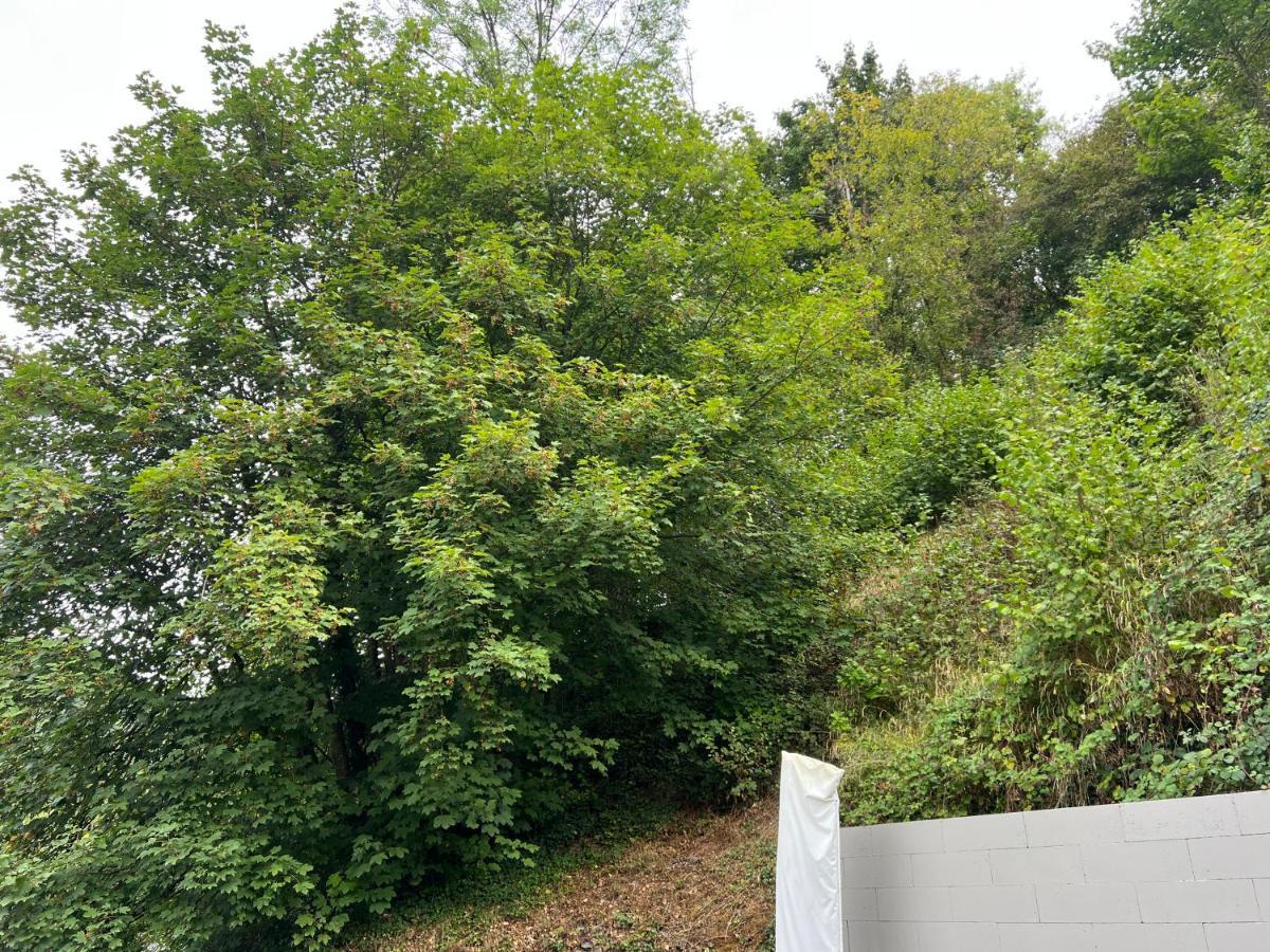Aux Berges Du Bocq Villa Yvoir Exteriör bild